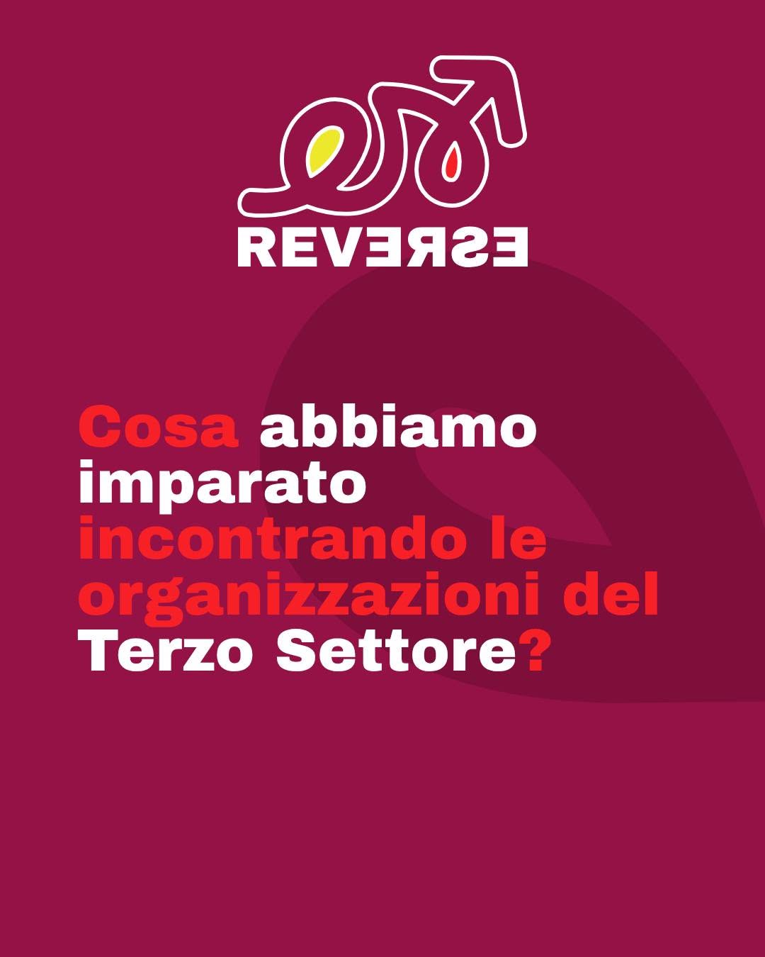 Progetto Reverse: cosa abbiamo imparato incontrando gli Enti del Terzo Settore? 

In questi mesi abbiamo incontrato realtà diverse per stori…
